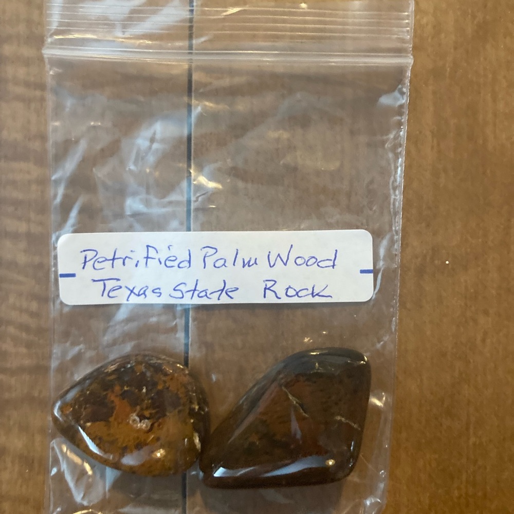 Petrified wood